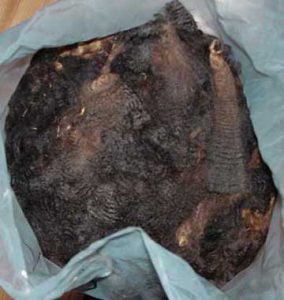 What to Avoid When Buying a Fleece