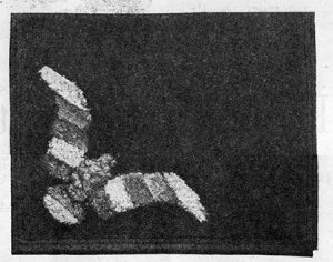 Beret and Handbag in Bird Design, Needlecraft Magazine October 1933